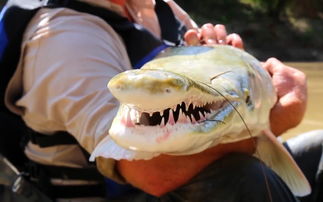 ��ȸ��Ϊʲô�¿�ȸ�� ȸ�����������Щ