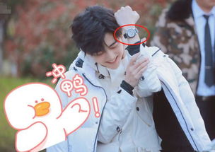 ����εܵܽ�ʲô ���׵ܵܽ������ɼ�