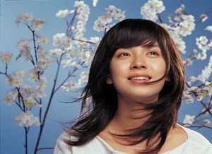 ����Т������� ��û�н��