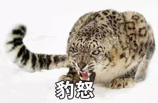 ����ͷ�����ʲô�� ��������һ��Ǯ����ֵ