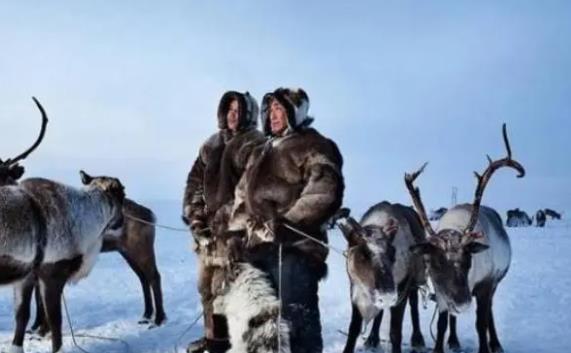 因纽特人还存在吗 仍然有13万人分布在北极圈内外