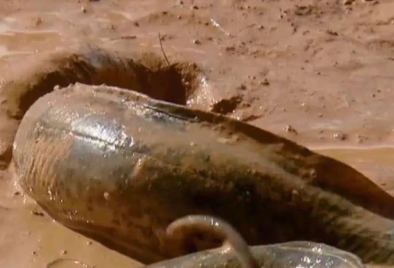 �����ܳ��� ���޷���������������