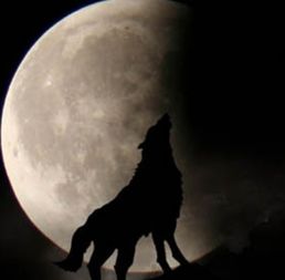 关于月亮的神话故事有哪些 嫦娥奔月的故事最为着名