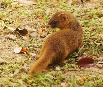 ���Ͽ��������������� �����Ǽ��׻�������