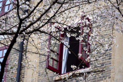 ���ӣ���������� ���ӣ������ʱ��