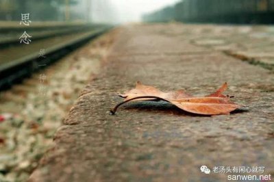 ̫�������׸豳��Ĺ��� ���׸���Դ�������ĳ���