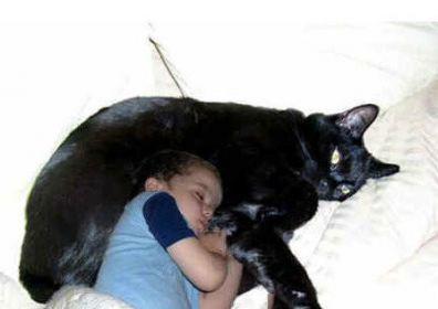 ����������è ����è��������è