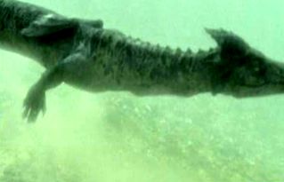 �ձ����걾������� �ٵ��ձ������¸��������ó�������