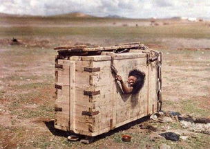 �ɹ����й����� ������һ�����������޹���