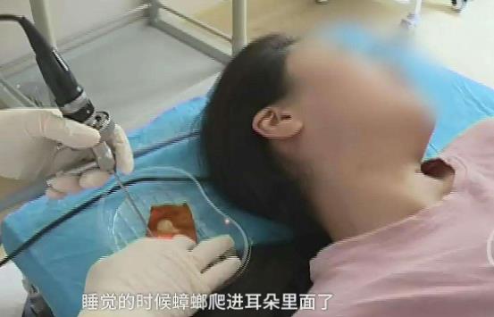 ���῿����˯������ ���ܻ����������굽�˵Ķ�����