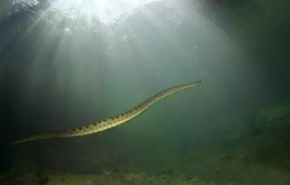 ��ˮ������ж�� ��������35�׵���ˮ��