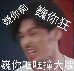 镇魂女孩什么意思 指喜爱看《镇魂》的女粉丝