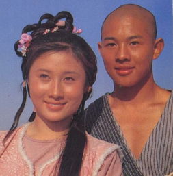 李连杰为什么不娶丁岚 现实中两人没有任何交集