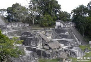 �����˽��ÿֲ� �����˽��Ϊʲô�ֲ�