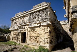 �����˽��ÿֲ� �����˽��Ϊʲô�ֲ�