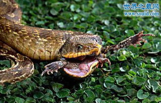 �������ж��� ��һ���޶�����