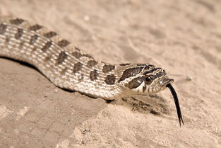 �������ж��� ��һ���޶�����