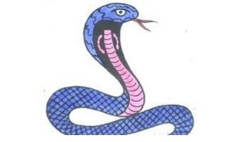 女人梦见很大的蛇 是吉兆预兆基本运程极好