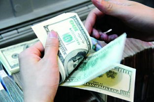 usd是什么货币 就是我们常说的美元的简称