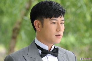 陈键锋为什么退出演艺圈 原因也是非常无奈的