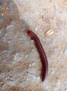 ��ڳ��ҧ���� ��û�ж���Ҳ����ҧ��