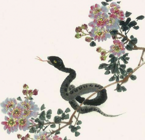 花香鸟语成双对 金银财宝随手拿是什么生肖(打一生肖动物)正式曝出