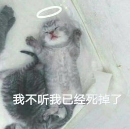 潘阳真的死了吗 一直出现潘阳死亡的消息