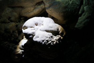 蝙蝠飞进屋里是吉是凶 飞进家一般是吉的代表