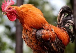 �����ǹ��������ĸ����� �����Ϳ����ǵĹ����ǹ���