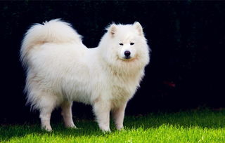 �����������൱�ڼ��� �൱�ڶ�ͯ3������