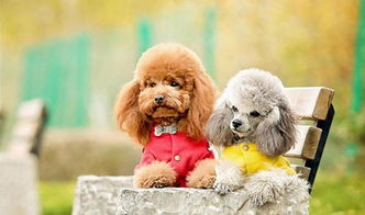 �����������൱�ڼ��� �൱�ڶ�ͯ3������