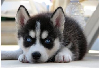 �����������൱�ڼ��� �൱�ڶ�ͯ3������