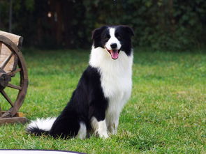 �����������൱�ڼ��� �൱�ڶ�ͯ3������