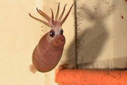 С������������� С�������ܳ���