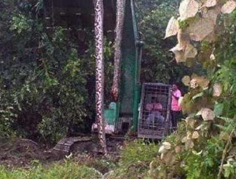 ��ƽ�����¼������Ǽ� ��ƽ�����¼�����