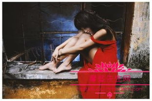 ������α������ ����������·���������˾ͻ�������