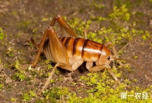 ɳ��Ǻ����� ������ǻȳ��Ǻ���