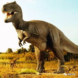 ��Щ�����Ѿ������ �Ѿ������ʮ��Ұ������