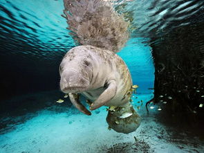 ��Щ�����Ѿ������ �Ѿ������ʮ��Ұ������