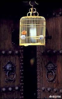 �ڵ�Ϊʲô���� ��ϲ�������˶�������