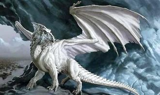 ����������ʲô��ͬ ������������������