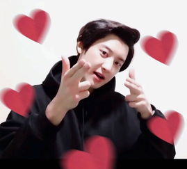 �Ӳ��ҷ�˿������ʲô ��˿�ǳƽ���Teddy