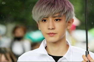 �Ӳ��ҷ�˿������ʲô ��˿�ǳƽ���Teddy