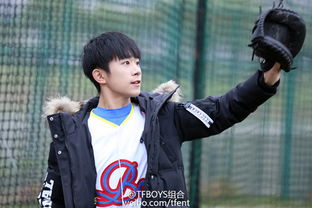 �Ӳ��ҷ�˿������ʲô ��˿�ǳƽ���Teddy