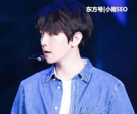 �Ӳ��ҷ�˿������ʲô ��˿�ǳƽ���Teddy