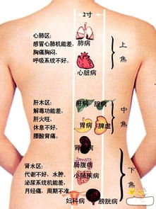 ���������ӵ��˽����� ר��Ѱ�ҺϺ���ζ�Ķ���