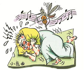 ���������ӵ��˽����� ר��Ѱ�ҺϺ���ζ�Ķ���