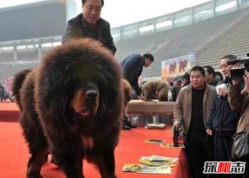 ����vs�ϻ�������ʵ �й�����ʮ����������