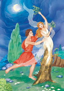 �񻰹�����ʲô �κ�Ӣ������â����������