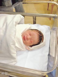 �����������ʲô ��������������